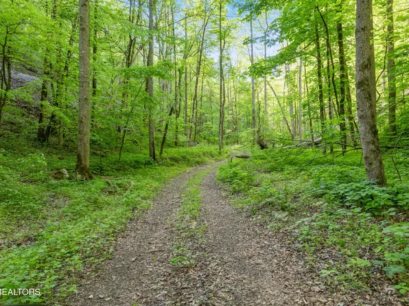 Bunch Hollow Rd, New Tazewell, TN 37825