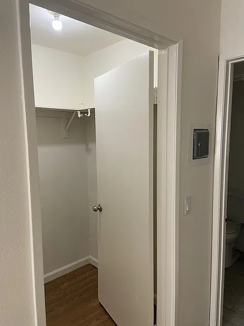 1 bed, 540 sqft, $1,650 — Photo 3
