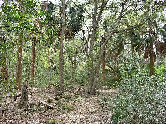 4th image of 6595 Heckscher Dr