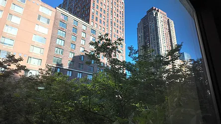 300 Albany Street #4L image 1 of 17