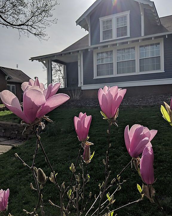 1st image of 619 Shelby St