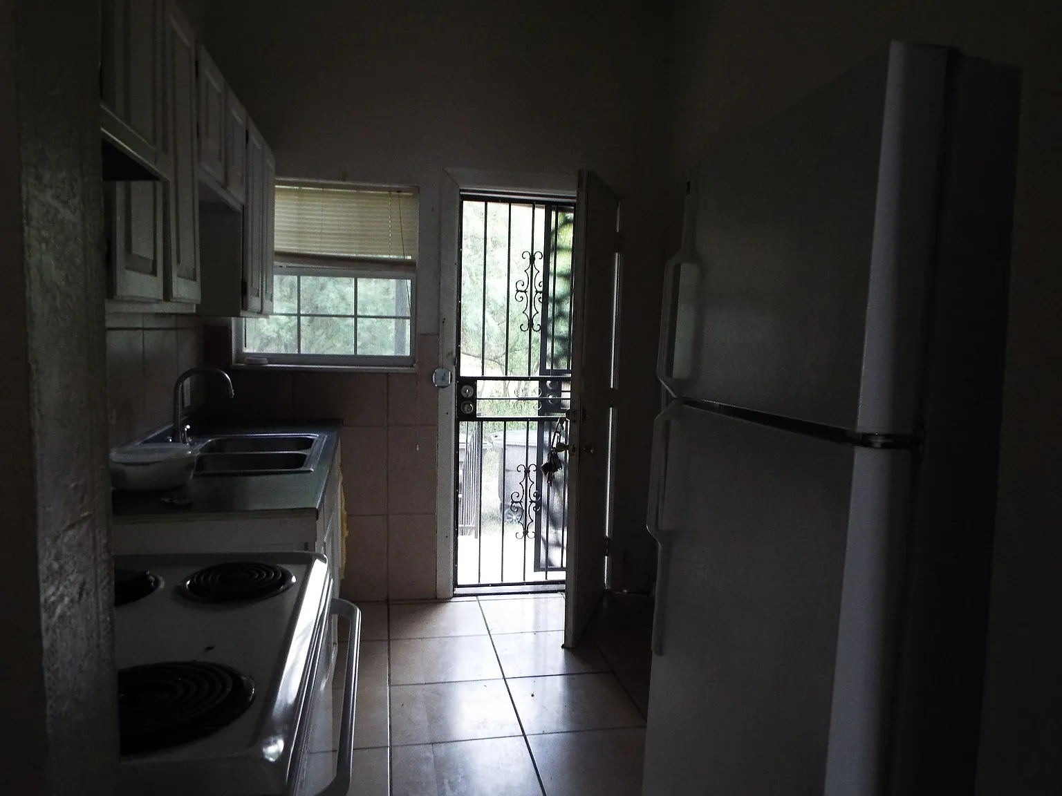 146 Stella — Photo 4