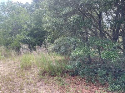 2061 W Pinegrove Dr, Citrus Springs, FL, 34434