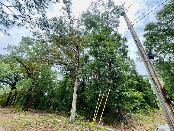 5th image of 1234 Hutto Parker Rd