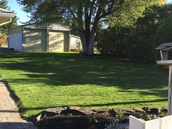 East side yard
