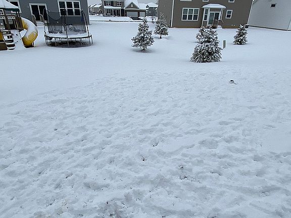 4th image of 11629 Caldwell Ct