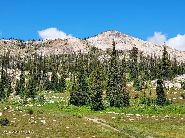 Crooked River Rd, Elk City, ID 83525