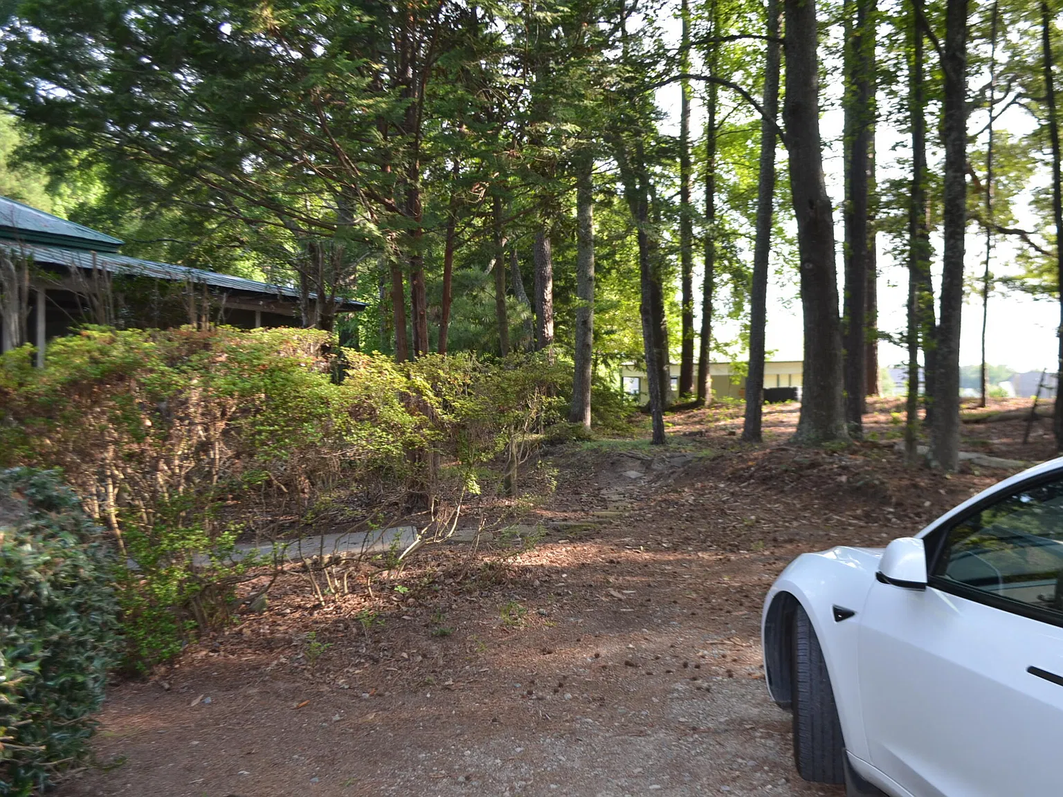 2 bed, 2.0 bath, 2000 sqft, $3,500 — Photo 3