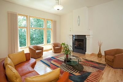 Vaulted ceiling living room