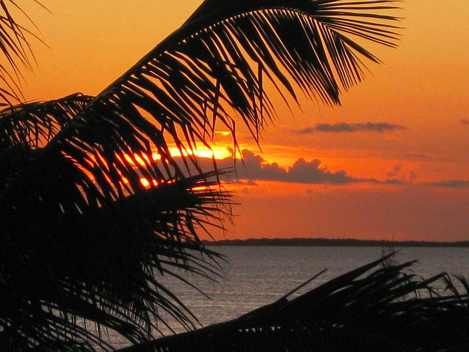 Sunset View