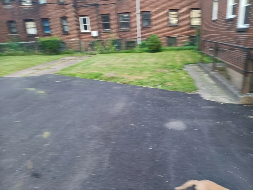 2 bed, 1100 sqft, $1,230 — Photo 3