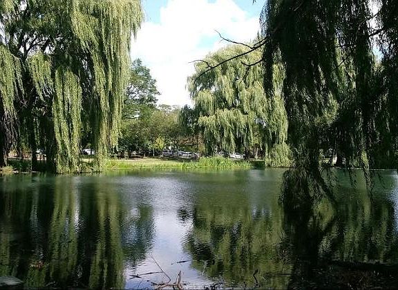 Less than 1/2 block from Douglass Park!