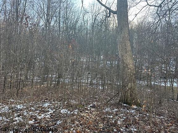2nd image of Lakeside Dr