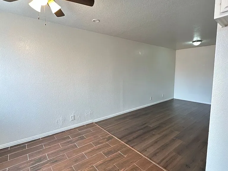 PEDRO — Photo 15