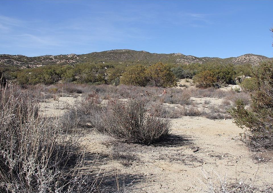 2nd image of 0 Sweetbush Ln