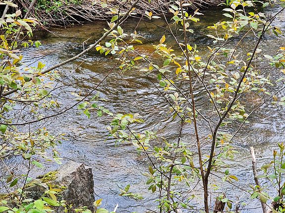 4th image of 0 Mill Pond Road