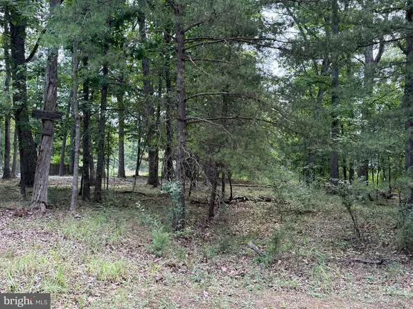 95 Logger Dr, Gore, VA 22637