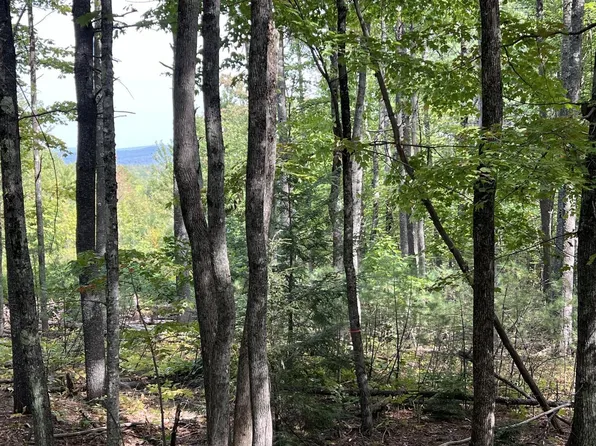 3-2 Summit Hill Road, Harrison, ME 04040