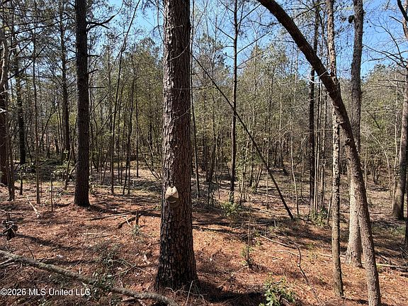 2nd image of 285 Mount Horeb Rd