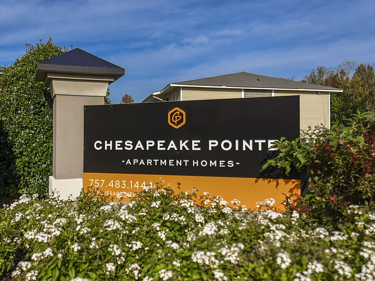Chesapeake Pointe — Photo 31