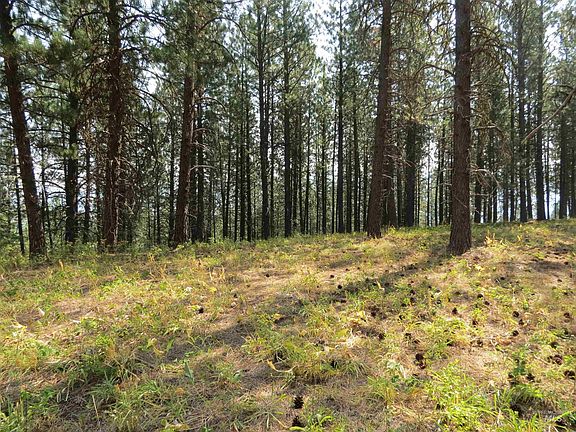 2nd image of LOT 64 White Pine Dr
