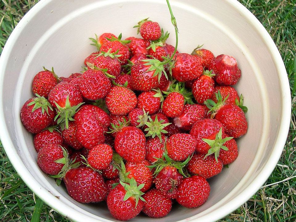daily bowl of strawberries. 2011