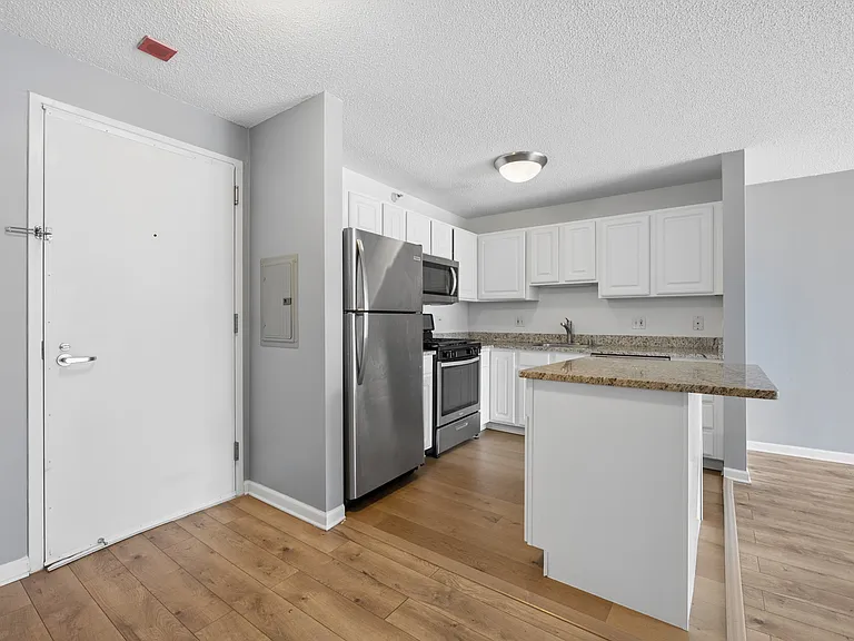 545 N Dearborn St #3008 — Photo 3