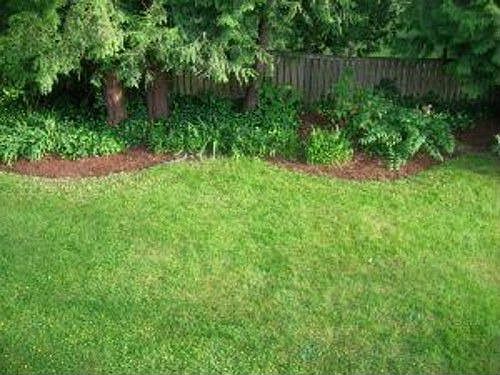 4th image of 4230 189th Pl SW