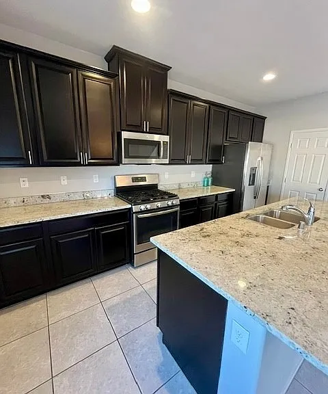 4524 Roaming Vines St — Photo 8