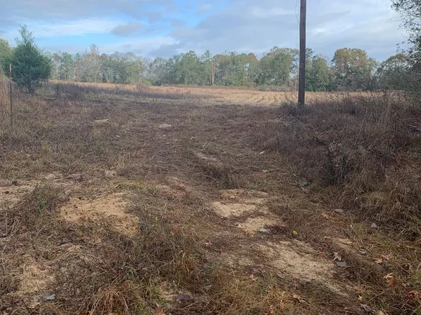 0 County Road 1101, Troy, AL 36079