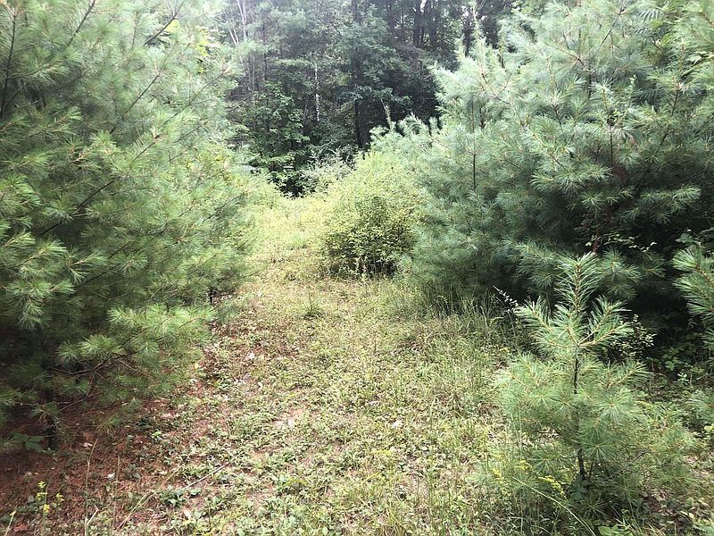 2nd image of 0 CAMERON Road