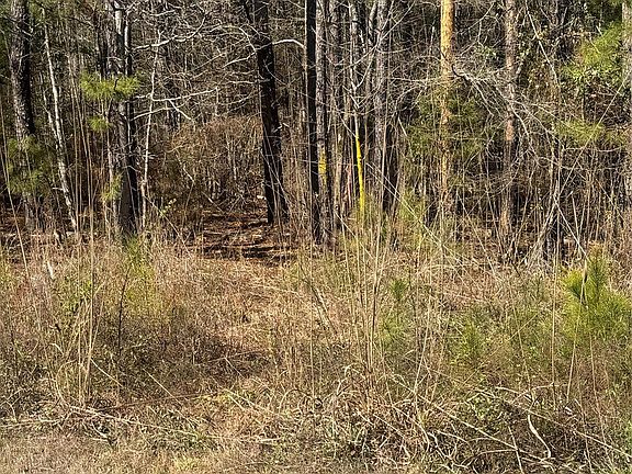 3rd image of 1802 Goings Rd