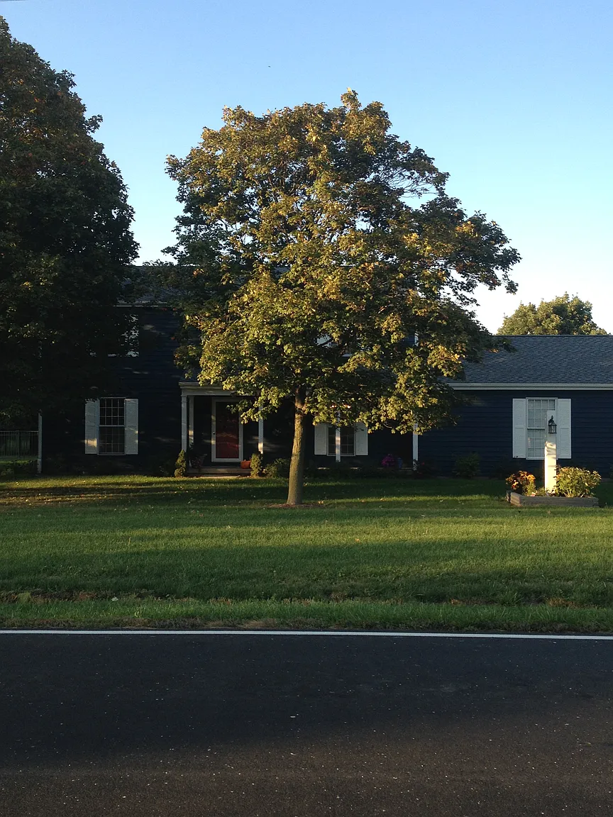 602 S Mahomet Rd photo 1