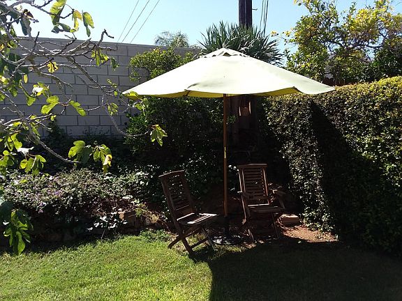 Sitting area in backyard near fig tree