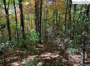 Tbd Little Rock Canyon Rd, Lenoir, NC 28645