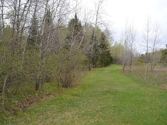 3rd image of 11803 Haakon Lane