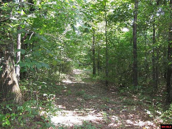 3rd image of 225 County Road 634