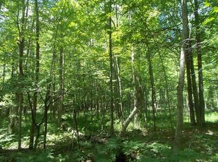 0 Curtis, Coleman, MI 48618