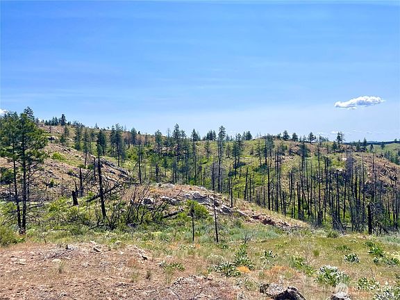 3rd image of 0 TBD Madd Mtn Road