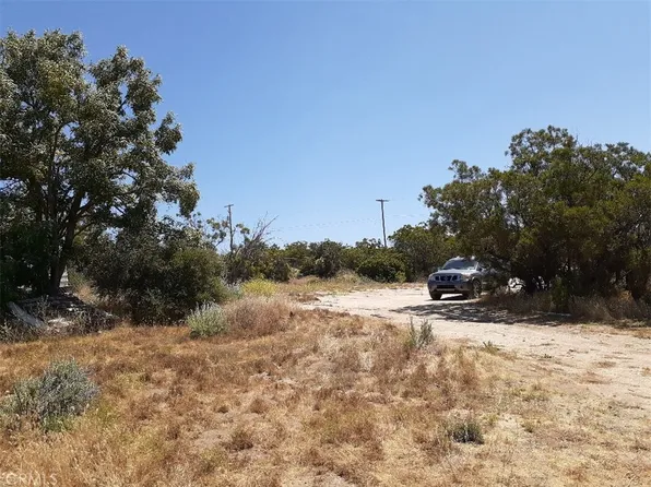 53725 Cave Rock Rd, Anza, CA 92539