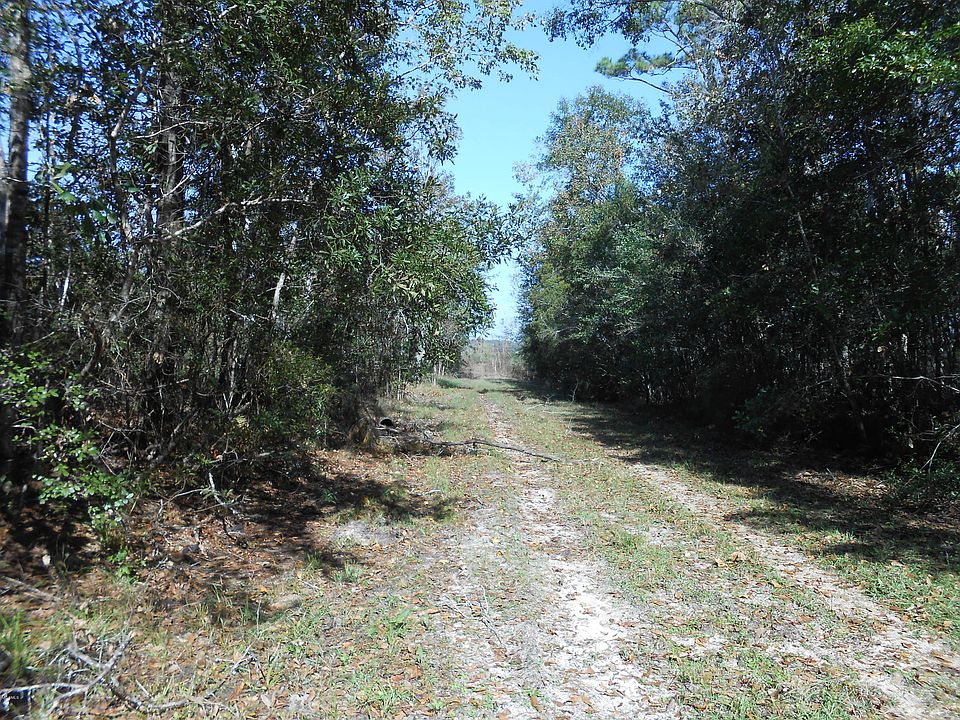 2nd image of 0 Myra St