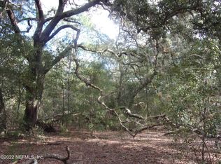 0 S COUNTY ROAD 315, Interlachen, FL 32148