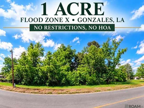 42436 State Highway 621 Hwy, Gonzales, LA 70737