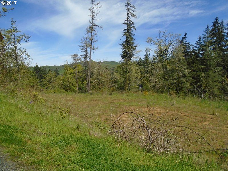 1st image of 0 Wild River Dr
