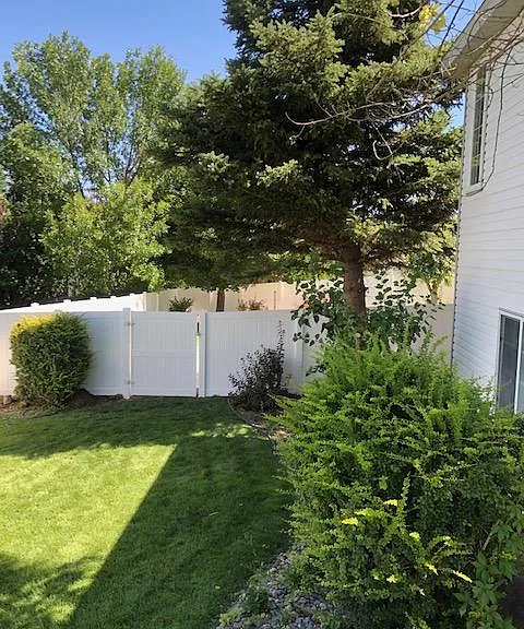 View of side yard