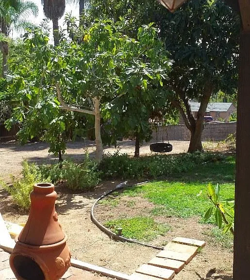 9220 Tropico Dr — Photo 1