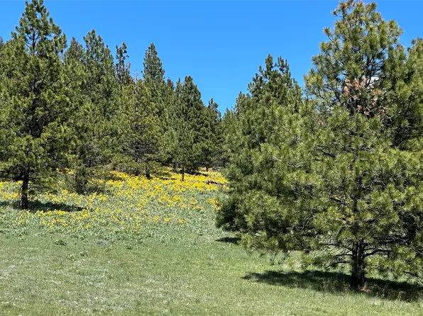 6 Tract Bull #Elk, Drummond, MT 59832