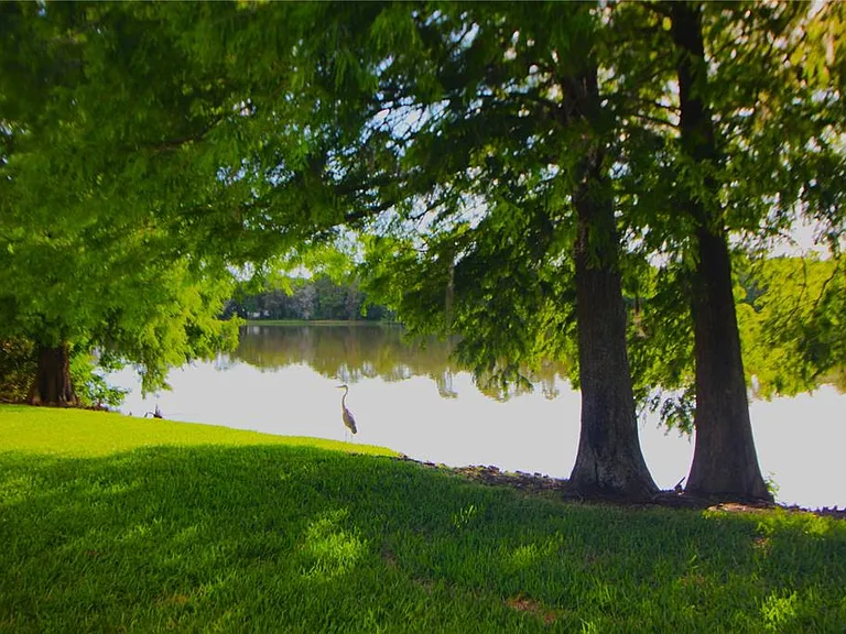 12369 Berkeley Square Dr — Photo 15