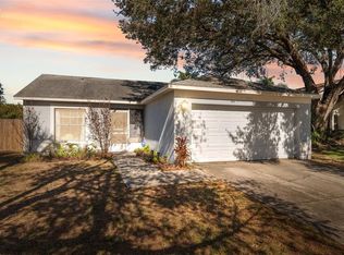 11117 Bloomington Dr, Tampa, FL 33635