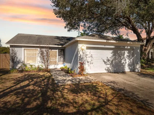 11117 Bloomington Dr, Tampa, FL 33635